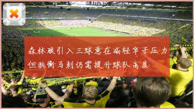 森林狼引入三球意在减轻华子压力但抗衡马刺仍需提升球队高度